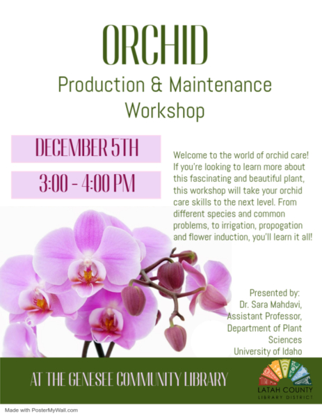 Orchids Production and Maintenance Workshop December 5th from 3 to 4 pm